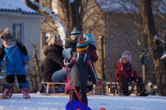 DSC00678