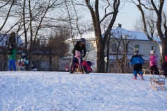 DSC00727